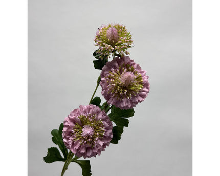 Scabiosa | Zijden kunstbloem | Lengte 80cm  2pcs wit
