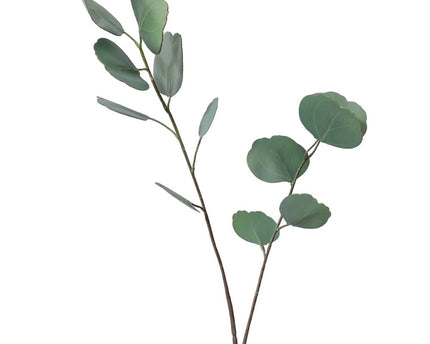 Decoratieve bloem van donkergroene eucalyptus 65x14x1cm