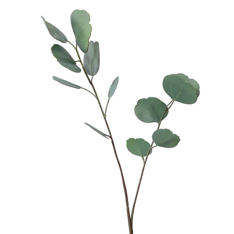 Decoratieve bloem van donkergroene eucalyptus 65x14x1cm