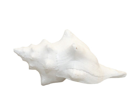 Decoratieve witte schaal 12,5x7x5cm