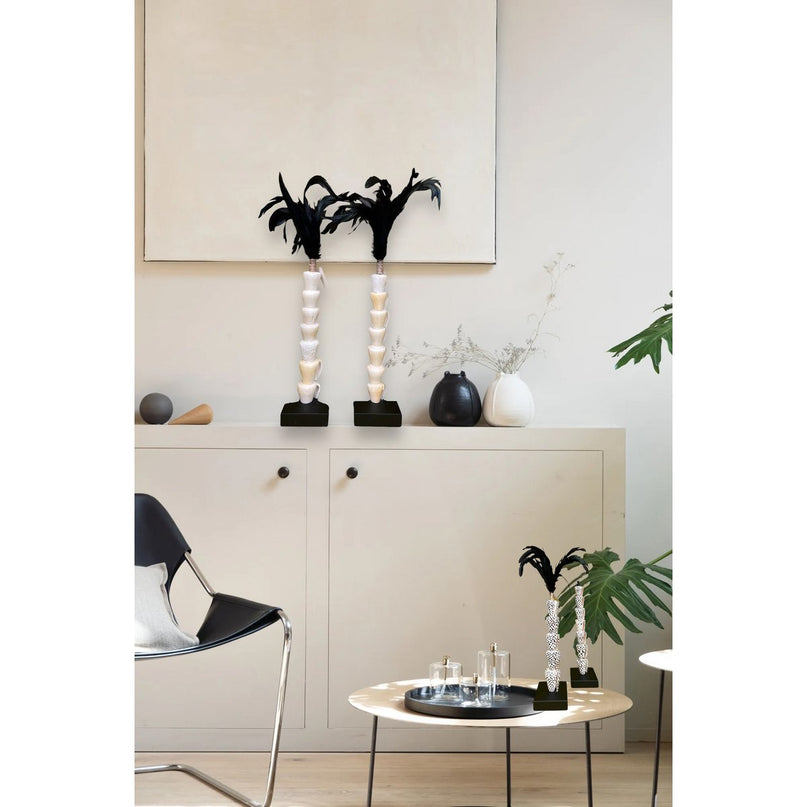 Papua white shell with veren on stand(7 shell)