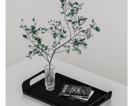 Vigor Tray Black