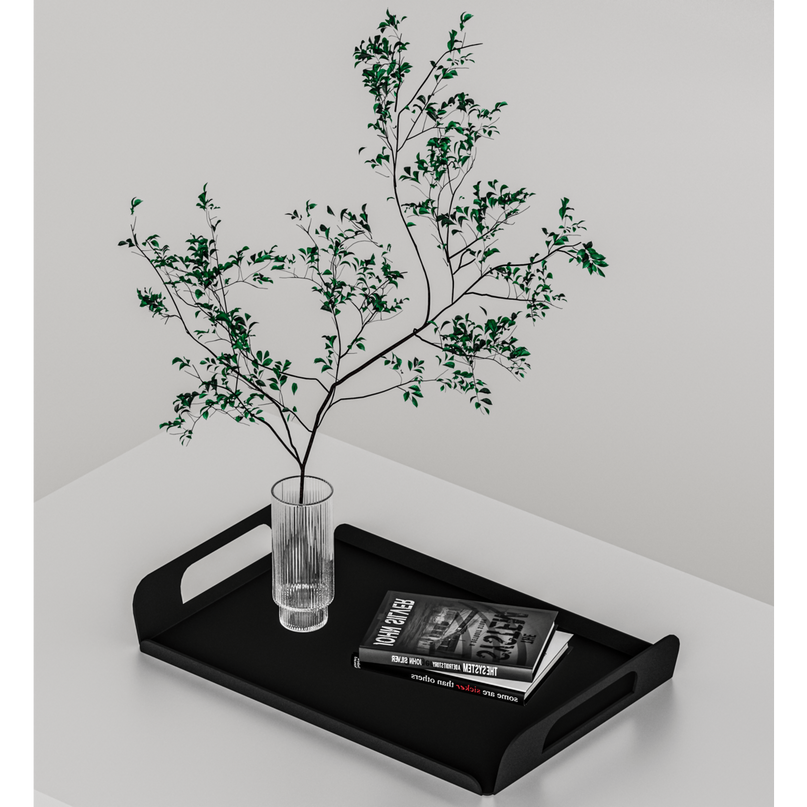 Vigor Tray Black