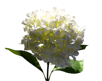 Kortstengelige frisse hortensia | Zijden kunstbloem | Lengte 47cm  1pcs