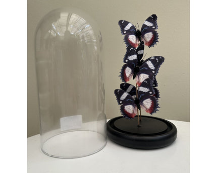 Vlinderdecoratie 14 *26cm （YF-11）
