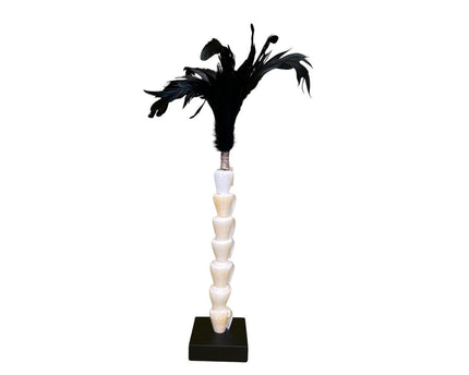 Papua white shell with veren on stand（7 shell)