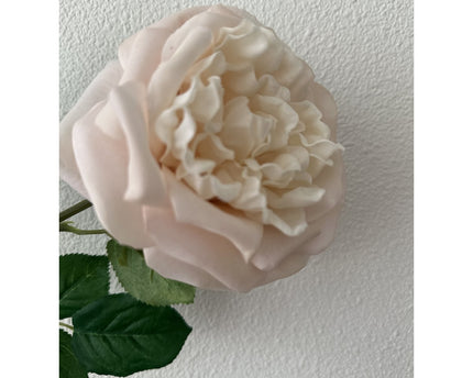 QMF Touch Rose 65cm Light pink 2PCS
