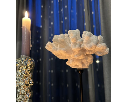 Koraalcollectie met metalen standaard - maat: H25cm B15cm D15cm