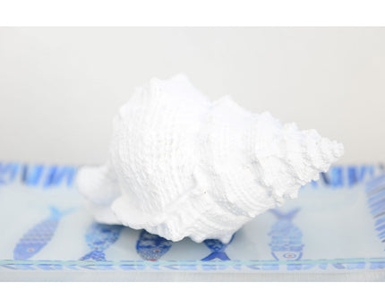 Decoratieve witte schaal 25x17x13cm