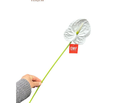 Anthurium White     | Zijden kunstbloem | Lengte 62 1pcs