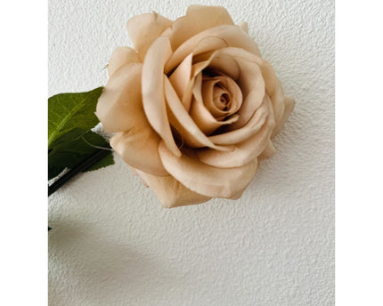 QMF Hand Touch Rose72cm Champagne 2PCS