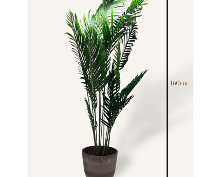Phoenix Kunstplant met Pot   |  kunstplant | Lengte 160cm 1pcs