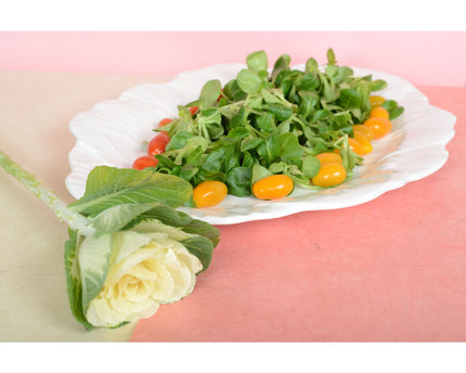 Wit ovaal gerecht in melamine 50x40x2cm