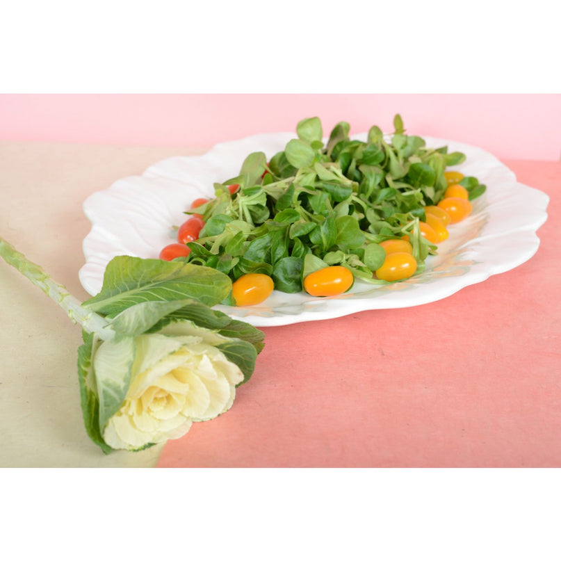 Wit ovaal gerecht in melamine 50x40x2cm