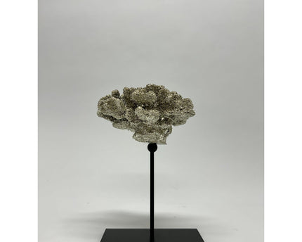 Coral collectie met metalen standaard ( champagnekleur)