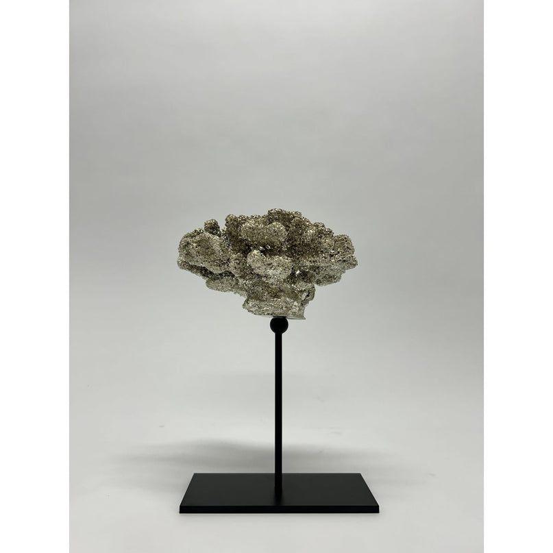 Coral collectie met metalen standaard ( champagnekleur)