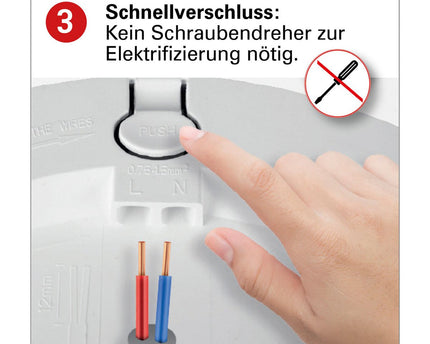 LED -plafondlicht "bonus" Ø: 17 cm