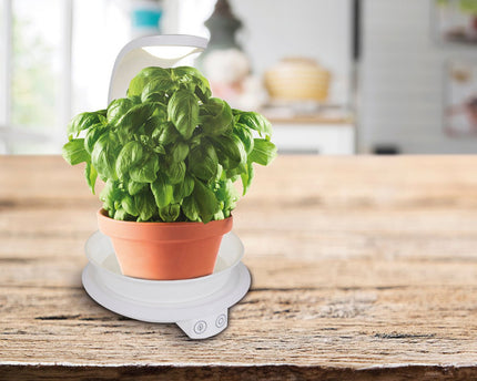 LED -plantentablet Licht 24 cm hoog, gemaakt van metaal en plastic in het wit, met geïntegreerde LED