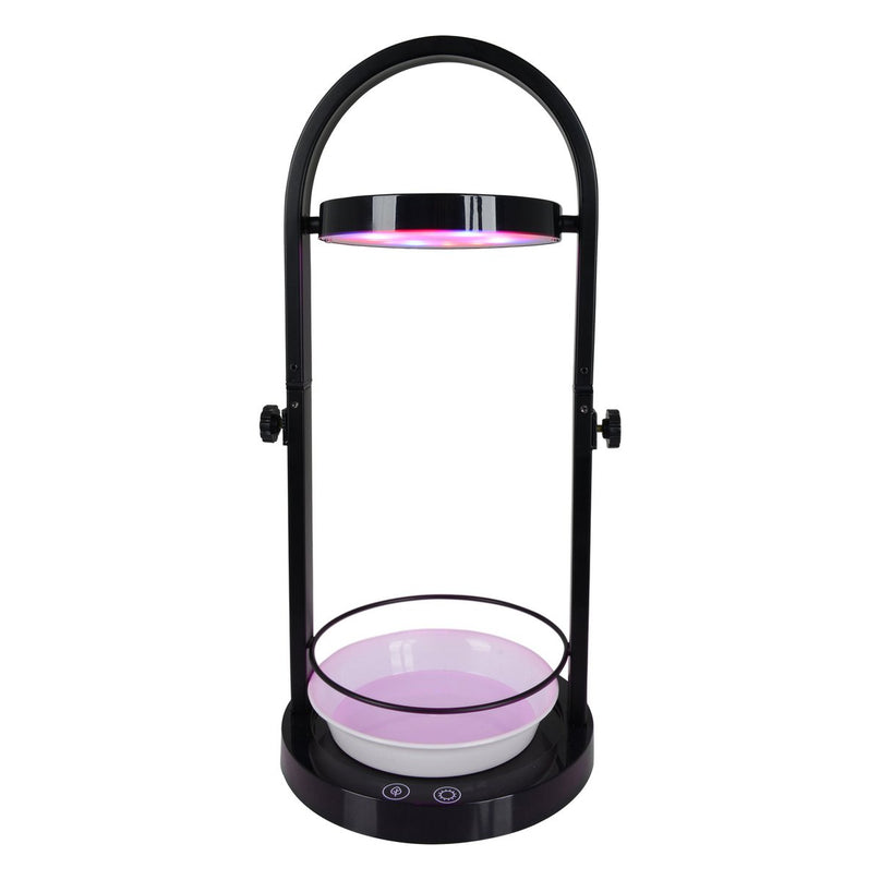 LED -plantentablet Licht 53,5 cm hoog, gemaakt van metaal en plastic in het zwart, met geïntegreerde LED