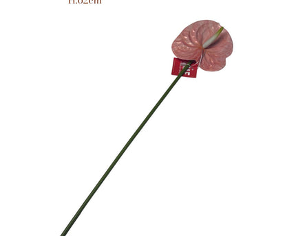 Anthurium Pink   | Zijden kunstbloem | Lengte 62 1pcs