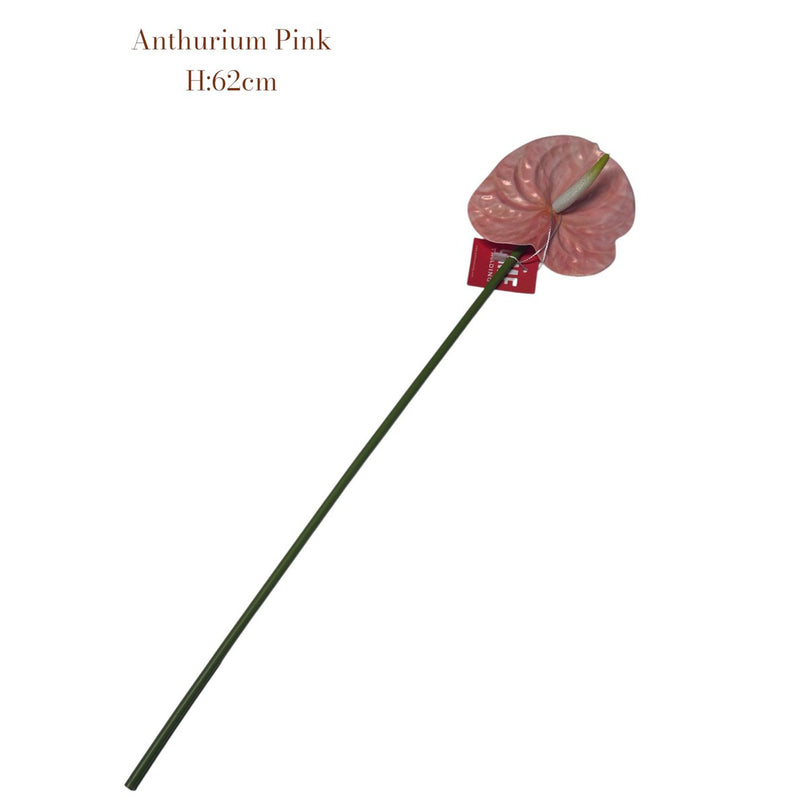 Anthurium Pink   | Zijden kunstbloem | Lengte 62 1pcs