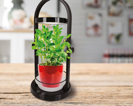LED -plantentablet Licht 53,5 cm hoog, gemaakt van metaal en plastic in het zwart, met geïntegreerde LED