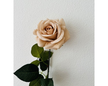 QMF Hand Touch Rose72cm Champagne 2PCS