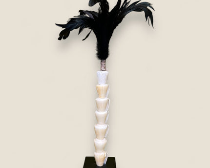 Papua white shell with veren on stand（7 shell)