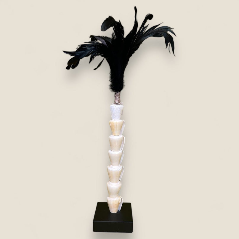 Papua white shell with veren on stand(7 shell)