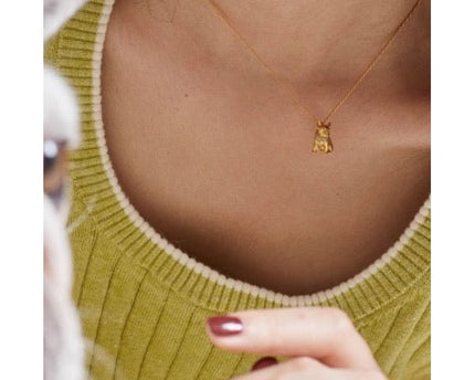 Schattige Franse Bulldog charme ketting