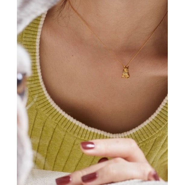 Schattige Franse Bulldog charme ketting