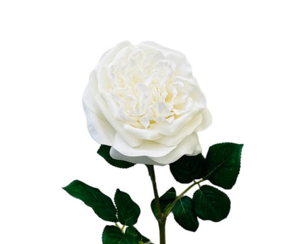 QMF Hand Touch Rose 65cm WIT 2PCS