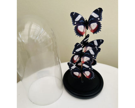 Vlinderdecoratie 14 *26cm （YF-11）