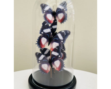 Vlinderdecoratie 14 *26cm （YF-11）