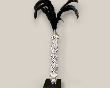 Papua tiger shell with veren on stand（5 shell)