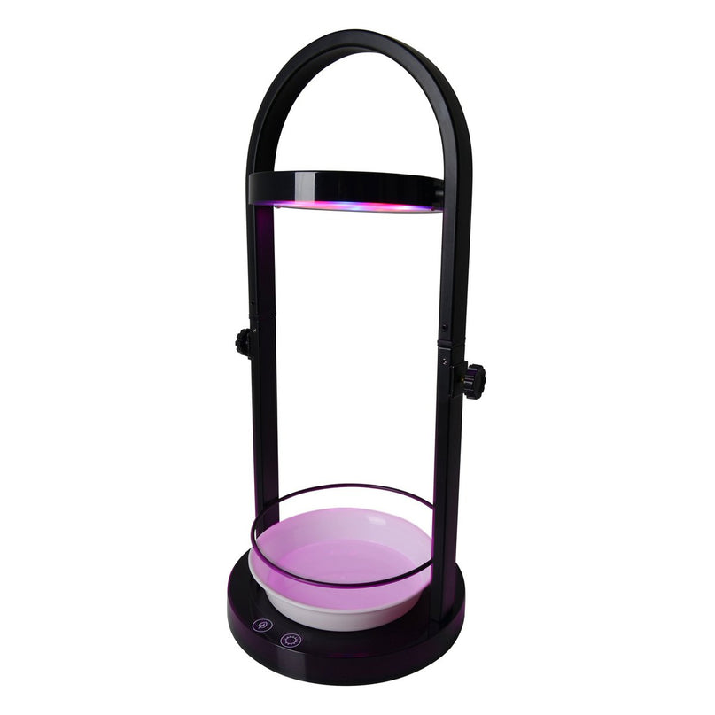 LED -plantentablet Licht 53,5 cm hoog, gemaakt van metaal en plastic in het zwart, met geïntegreerde LED