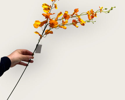 Oranje Oncidium | Zijden kunstbloem | Lengte 97cm  1pcs