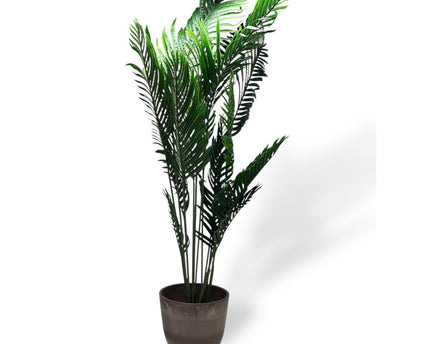 Phoenix Kunstplant met Pot   |  kunstplant | Lengte 160cm 1pcs