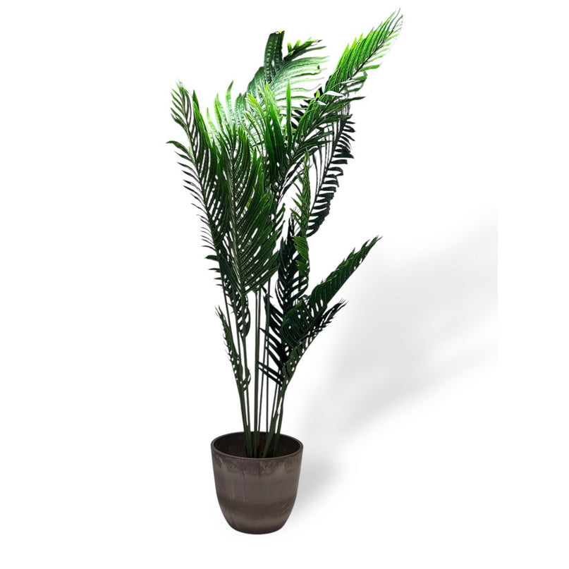 Phoenix Kunstplant met Pot   |  kunstplant | Lengte 160cm 1pcs