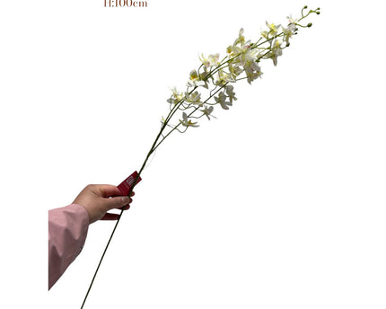 White Phalaenopsis | Zijden kunstbloem | Lengte 100 1pcs