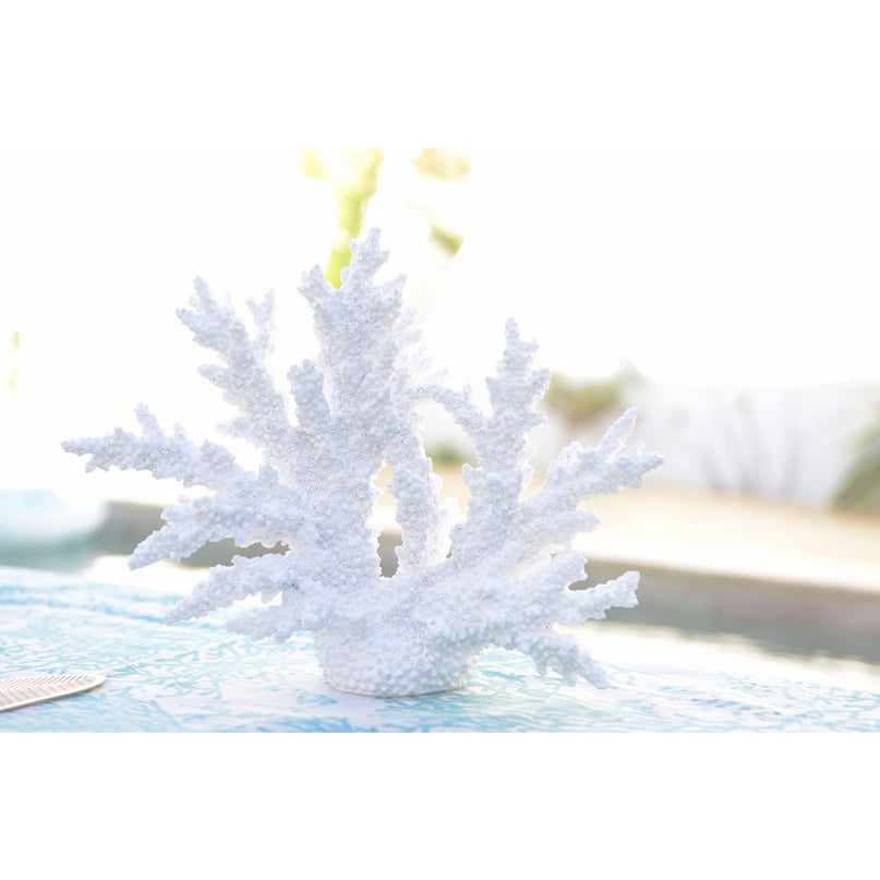 Decoratief wit koraal 34x13x27cm