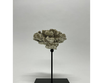 Coral collectie met metalen standaard ( champagnekleur)