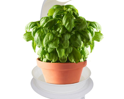LED -plantentablet Licht 24 cm hoog, gemaakt van metaal en plastic in het wit, met geïntegreerde LED