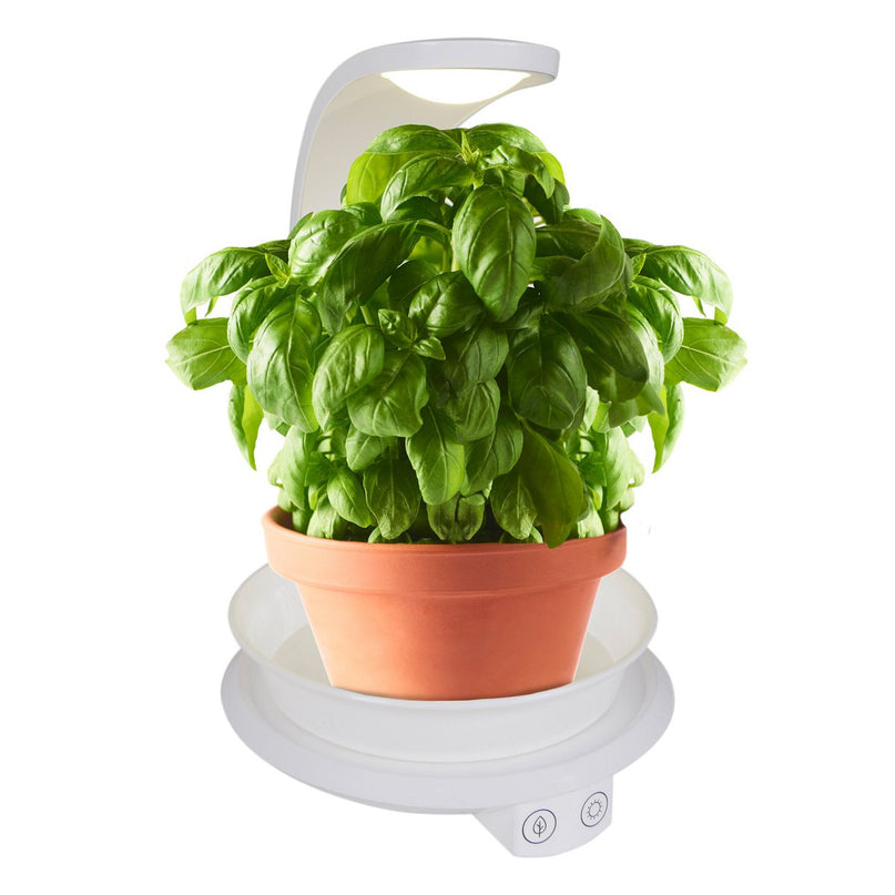 LED -plantentablet Licht 24 cm hoog, gemaakt van metaal en plastic in het wit, met geïntegreerde LED