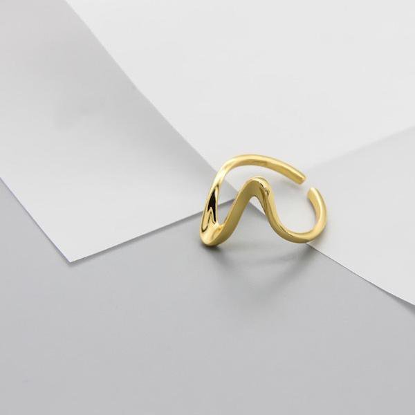 Minimalisme geometrische ECG-hartslagring