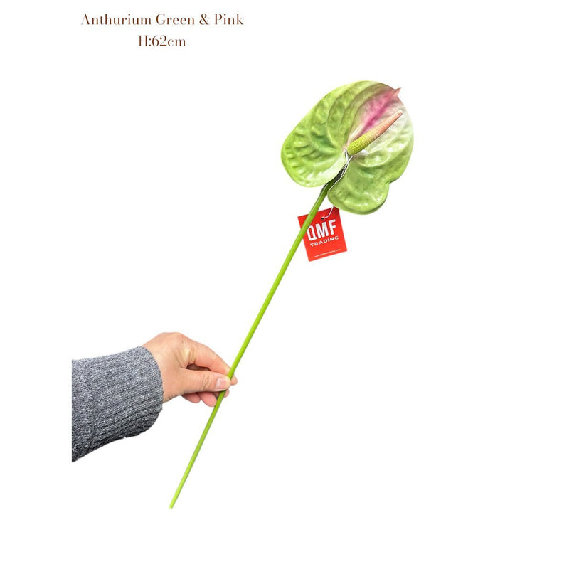 Anthurium Green & Pink    | Zijden kunstbloem | Lengte 62 1pcs