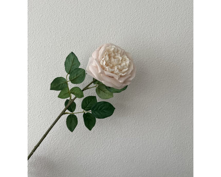 QMF Touch Rose 65cm Light pink 2PCS