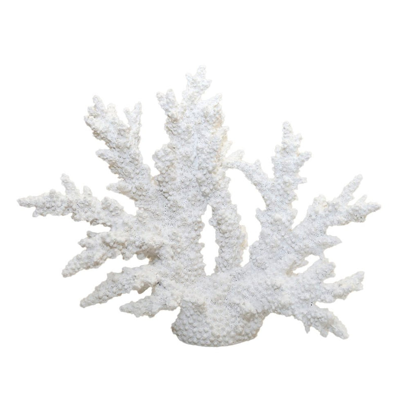 Decoratief wit koraal 34x13x27cm