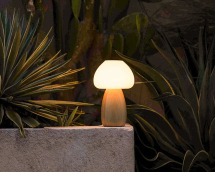Beer lichtbruin stijlvol oplaadbare lamp-draadloos, dimbaar, milieuvriendelijk ontwerp