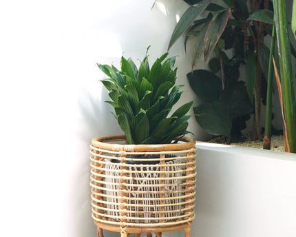 Rotan plantenstandaard plantenbak bloempothouder MALANG beige